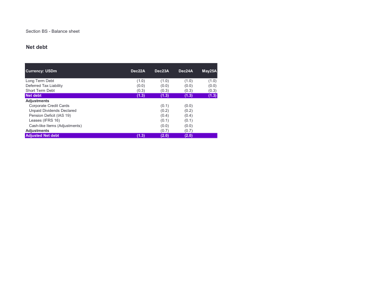 Sample FDD databook &mdash; Net debt & debt-like items page